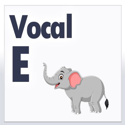 vocal e